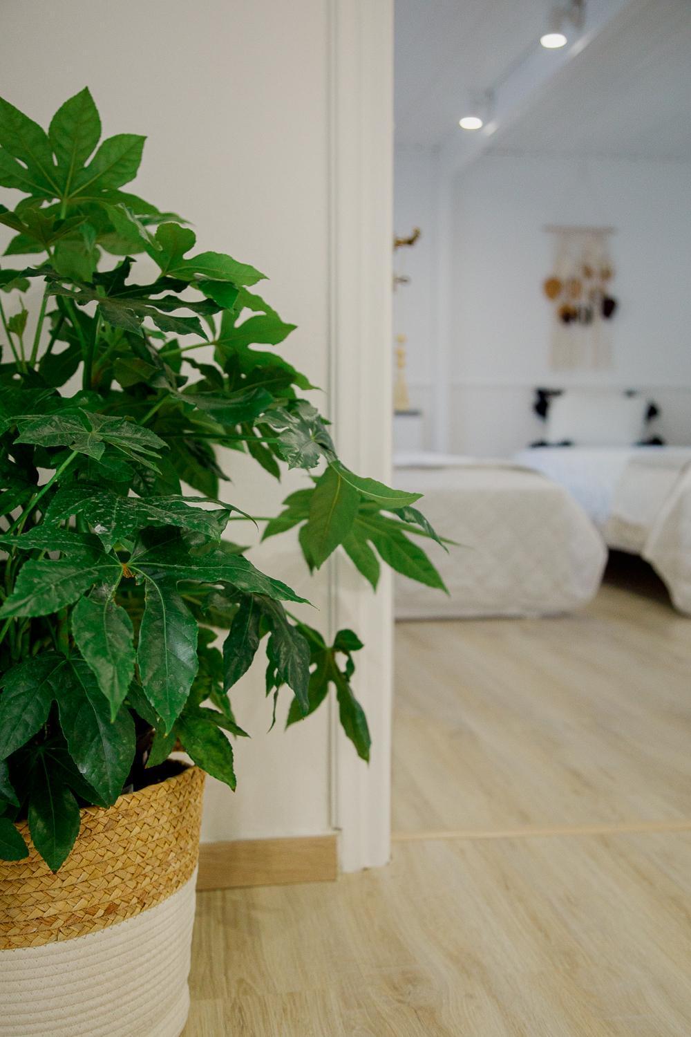 Yard- Family Retreat Apartment Corinth Екстериор снимка