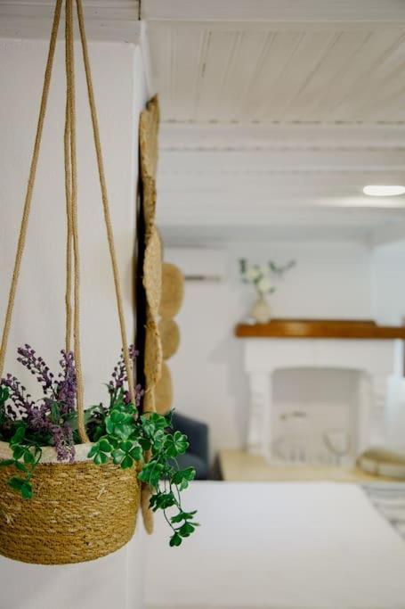 Yard- Family Retreat Apartment Corinth Екстериор снимка